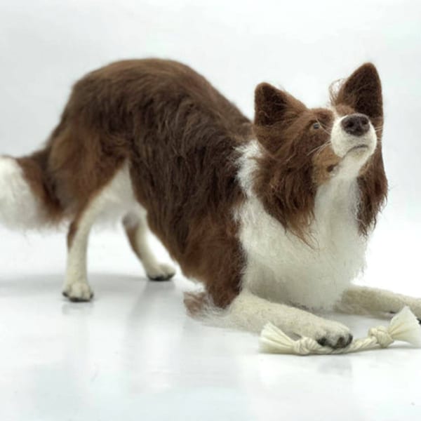 World of Wool Benji the Border Collie Needle Felting Kit detailed instructions materials *brown and white