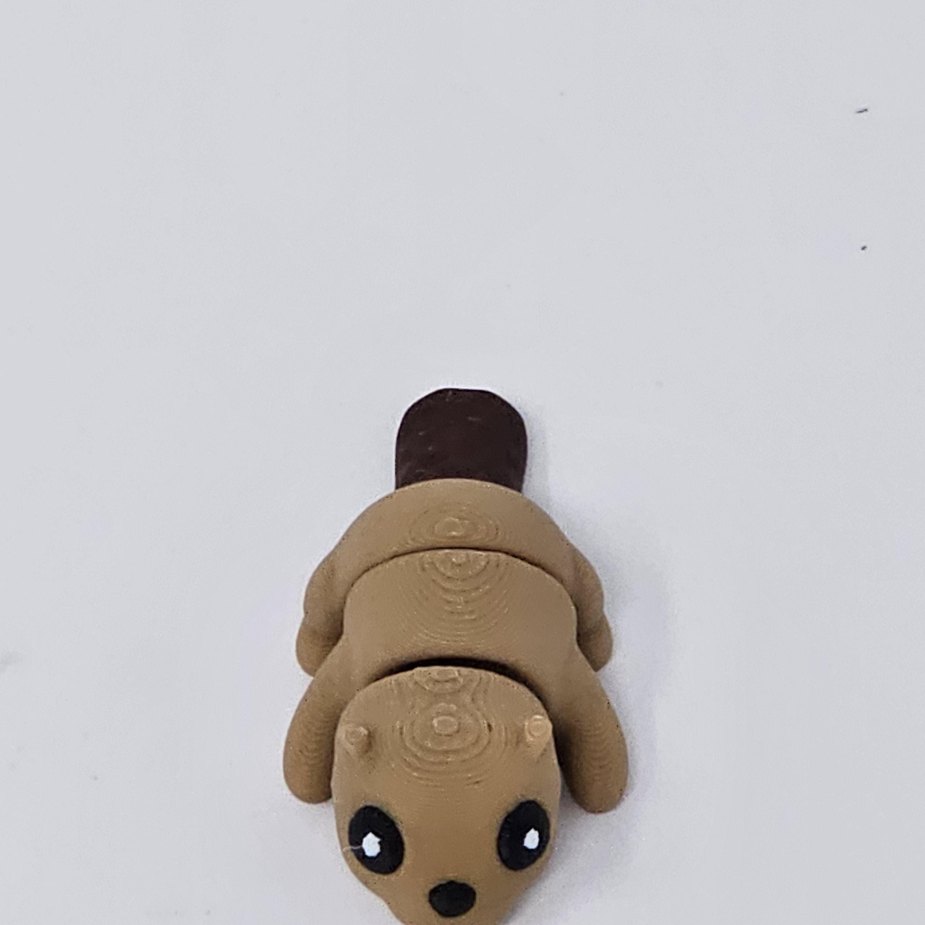 3D Printed Beaver Fidget Toy: Sensory Stress Relief for Kids & Adults ...