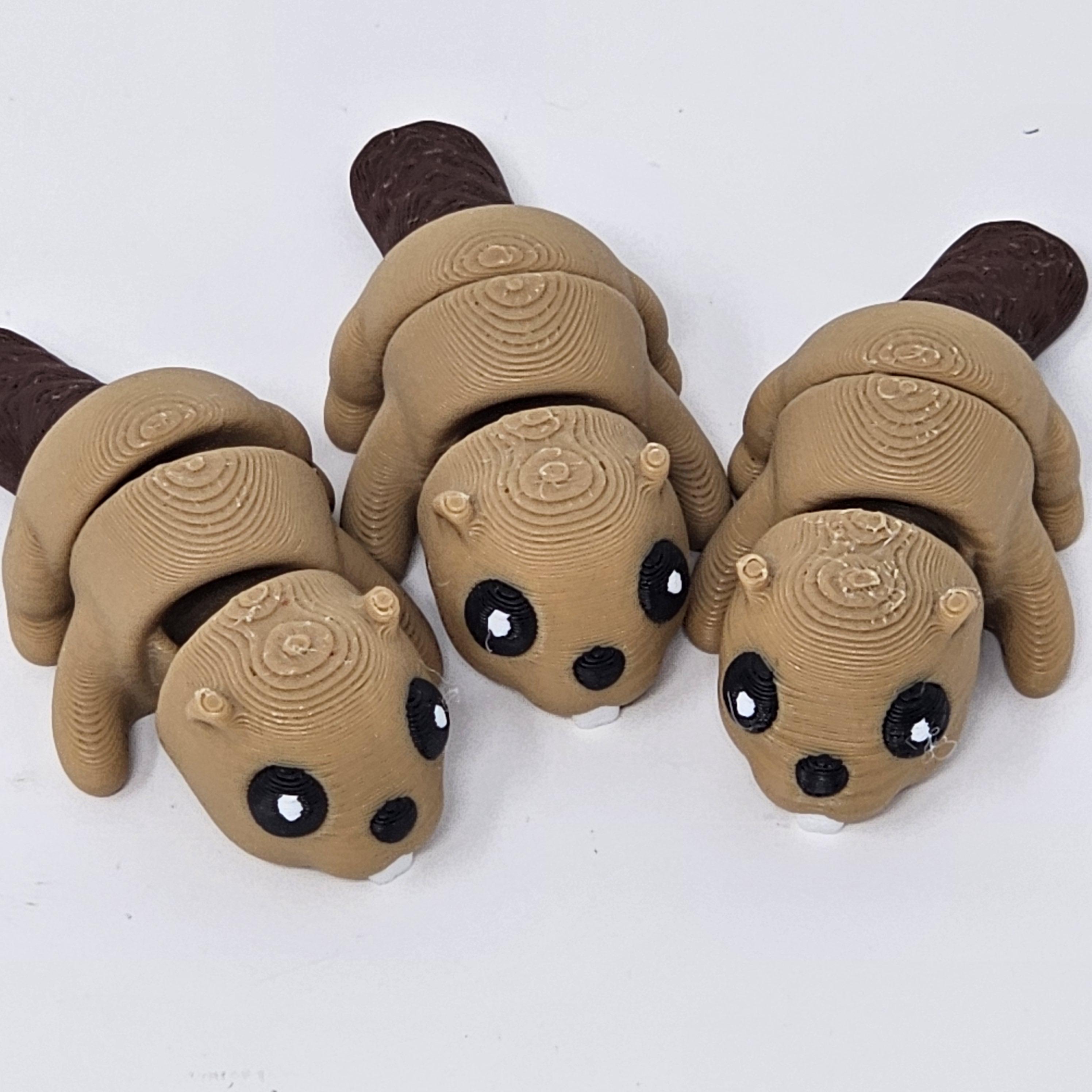 3D Printed Beaver Fidget Toy: Sensory Stress Relief for Kids & Adults ...