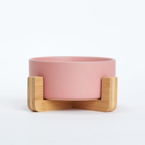 Pet Food Bowl