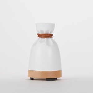 Electronic Oil Diffuser