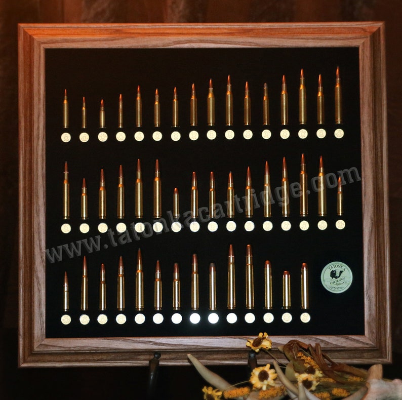 Popular Rifle Cartridges of the U.S. Etsy