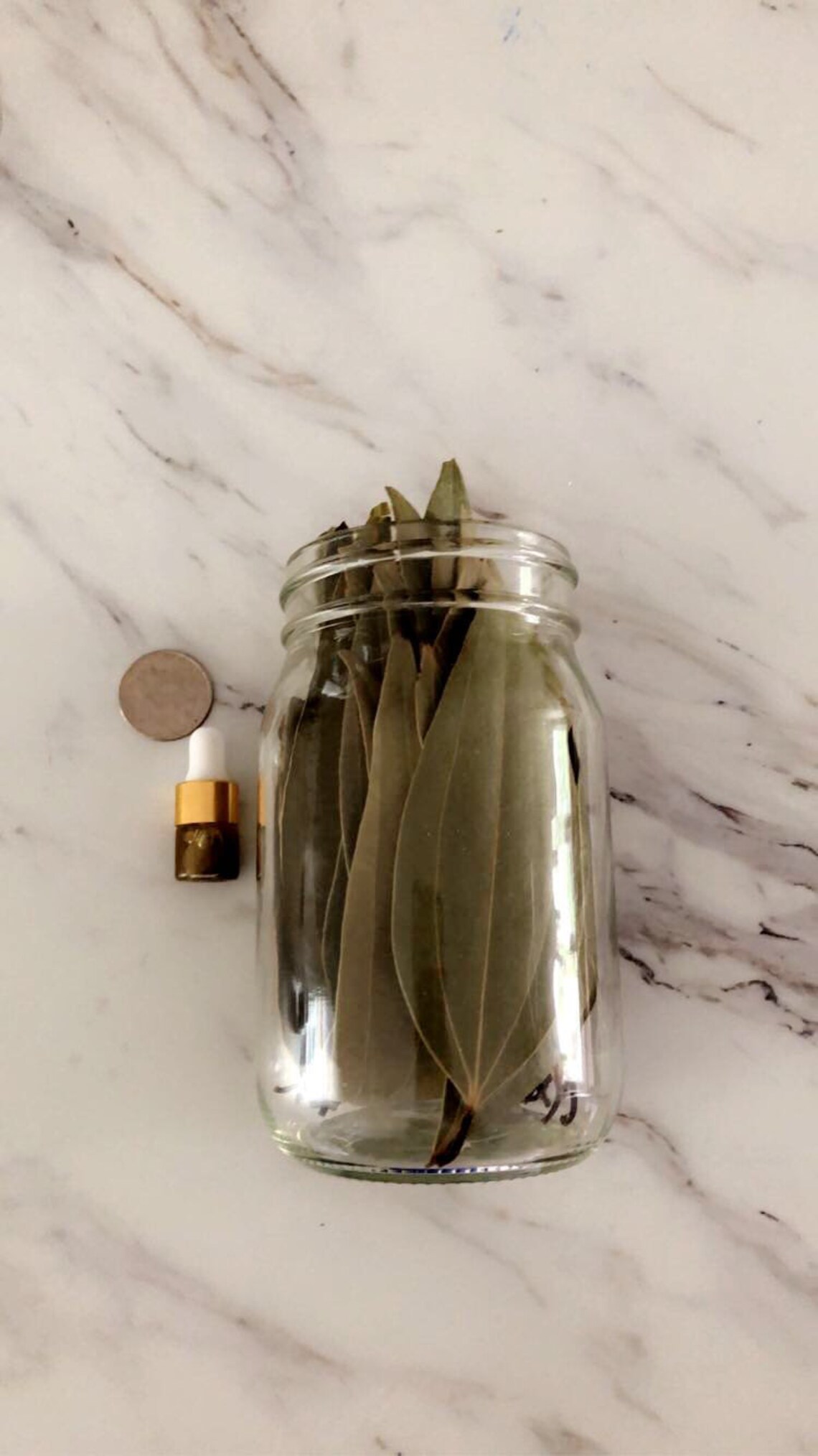 Bay Leaf MONEY Manifestation Kit 20 Whole Bay Leaves Abundance Oil Etsy