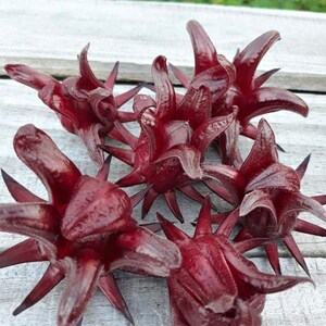 Jamaikaner Sorrel/Hibiskus (12oz)