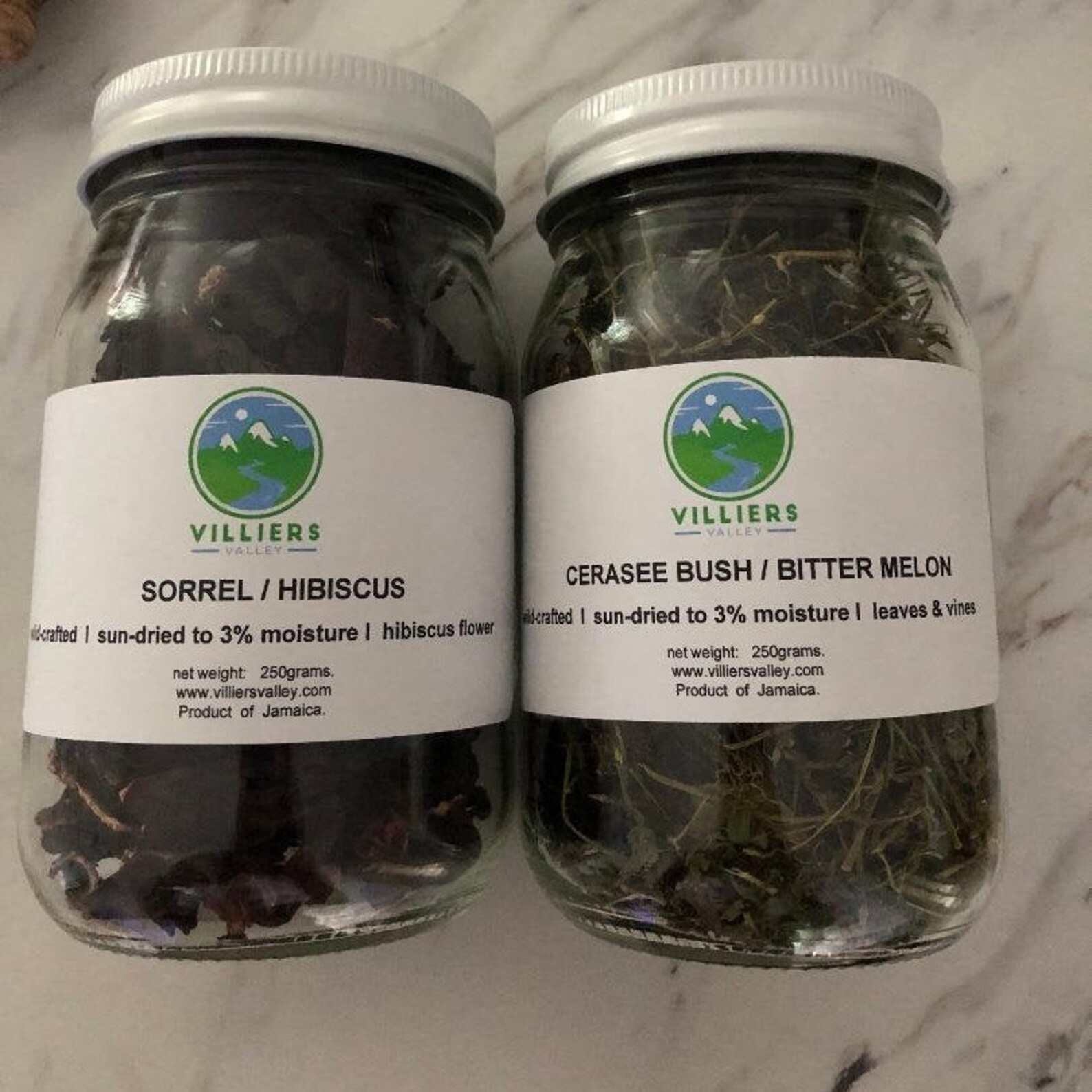 Bitter Melon/Cerasee Organically Grown in Jamaica Etsy