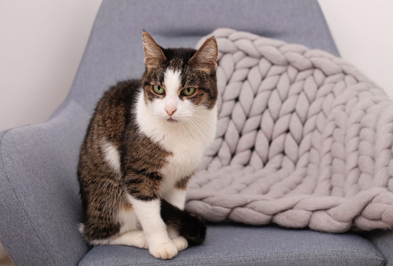 Pet blanket cat blanket made of merino wool puppy blanket Etsy