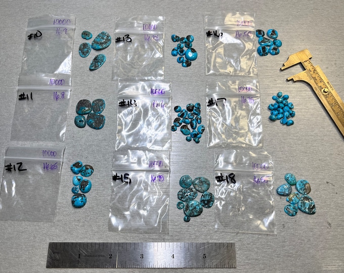 Kingman Turquoise Freeform Grab Bag Stone Kits 4.95 USD 15-16 carats - USA Mined & Stabilized. Sold by the Pack!