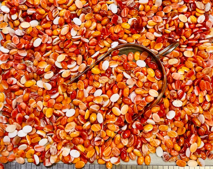 Spiny Red Orange Oyster Oval 4x6mm 4mm x 6mm Real Red and Orange Spiny Cabochon Calibrated- USA Mined & Stabilized. Sold by the Piece!