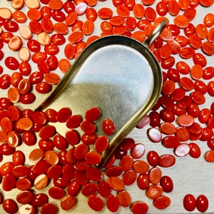 May include: A close-up of a metal scoop filled with small, oval-shaped, red gemstones. The gemstones are scattered around the scoop on a metal surface with a ruler marked in inches.