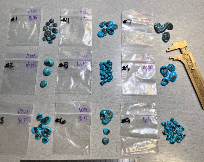 Kingman Turquoise Freeform Grab Bag Stone Kits 4.95 USD 15-16 carats - USA Mined & Stabilized. Sold by the Pack!