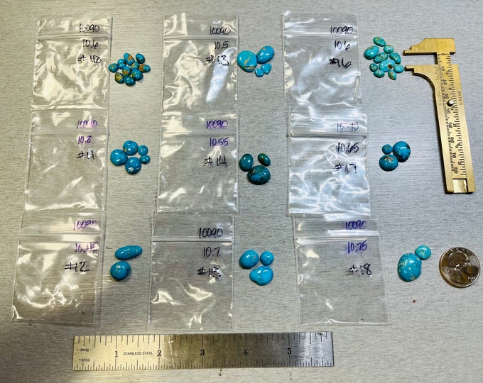 Real Lone Mountain Turquoise Freeform Grab Bag Stone Kits 5.95 USD 10-11 carats - USA Mined & Stabilized. Sold by the Stone!