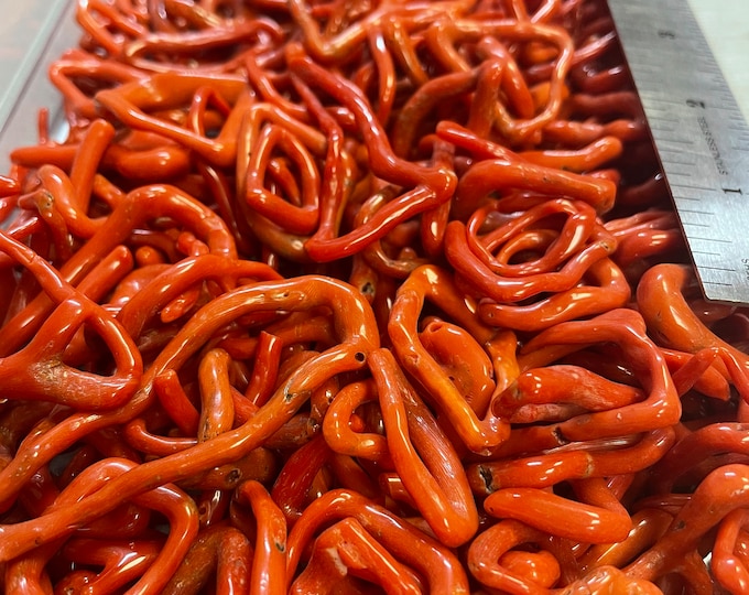 Italian Red Coral Circles Polish Rough Natural Gemstone Beads Mediterranean Sea Coral. Sold by the piece!