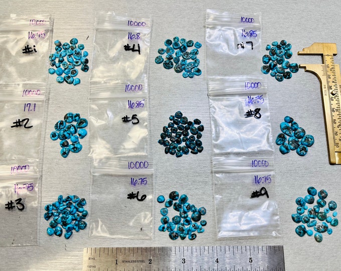 Kingman Turquoise Freeform Grab Bag Stone Kits 5.95 USD 16 carats plus or minus - USA Mined & Stabilized. Sold by the Pack!