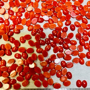 May include: A close-up of a group of oval-shaped, red, and orange gemstone cabochons scattered on a silver surface. A ruler is visible at the bottom of the image, with markings from 2 to 5.