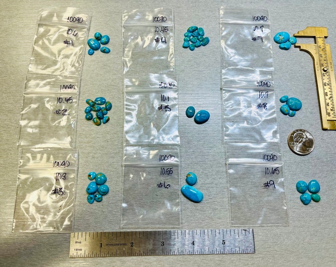 Real Lone Mountain Turquoise Freeform Grab Bag Stone Kits 5.95 USD 10-11 carats - USA Mined & Stabilized. Sold by the Stone!
