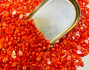 Coral Teardrop 4x6mm 4mm x 6mm Real Pear Red and Orange Meditranian Coral Calibrated- USA Mined & Stabilized. Sold by the Piece!