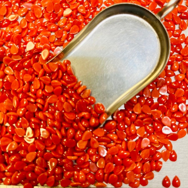 Coral Teardrop 4x6mm 4mm x 6mm Real Pear Red and Orange Meditranian Coral Calibrated- USA Mined & Stabilized. Sold by the Piece!