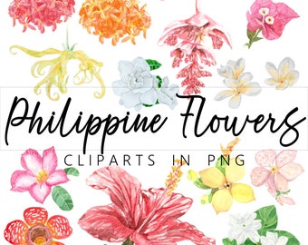 ClipArt di fiori filippini in formato PNG