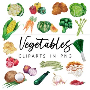 Vegetables PNG Clip Art in Watercolor, Printable, Downloadable,