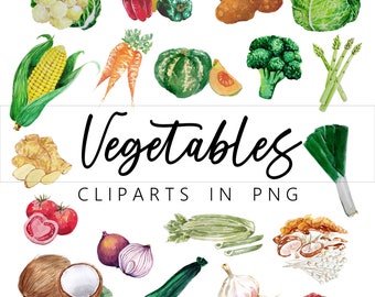 Vegetables PNG Clip Art in Watercolor, Printable, Downloadable,