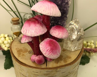 OOAK Pink Mushroom Mycena Rosella realistic figurine