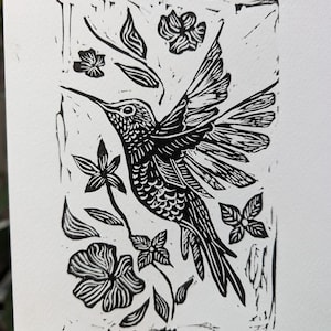 Colibri colibri - Linoldruck