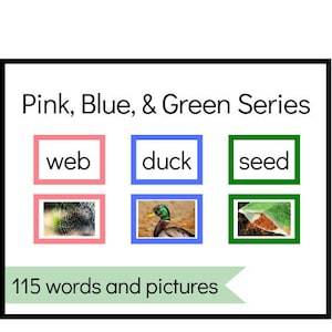 Pink, Blue, and Green Series word picture cards Montessori printables