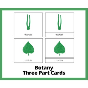Montessori Watercolor Botany Bundle