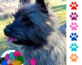 Médaille d'idendification chien | 8 couleurs  Motif patte
