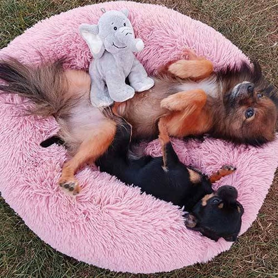 Coussin Doux Apaisant Calming Rose