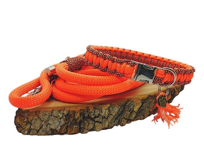 Clockwork Orange Dog Collar - 2cm Wide | Woof Leash