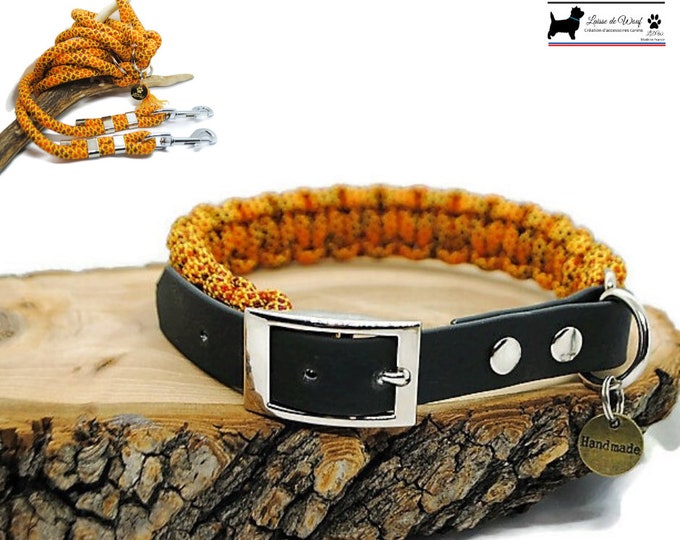 Autumn dog collar Width 2cm - Matching 3 point leash | Woof leash