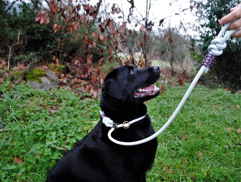 lasso dog leash