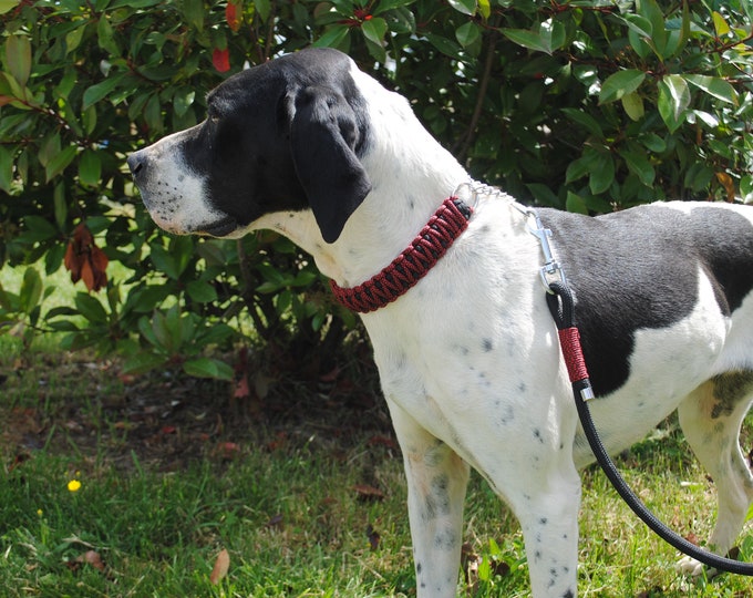 Diamond Collection dog collar - width 3cm - Woof leash