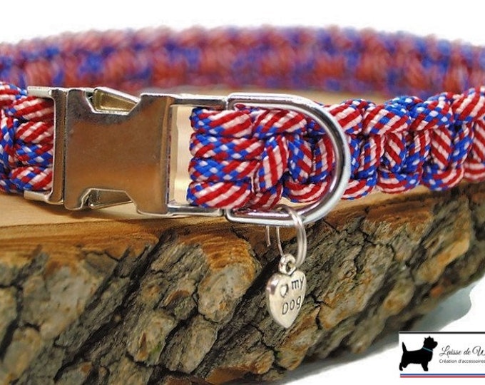 Star dog collar - width 1.8cm | Woof leash