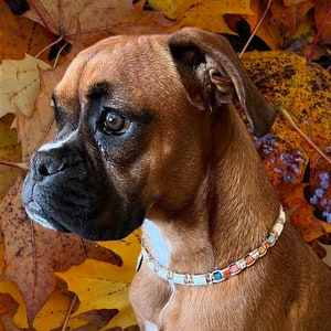 Coleira anti-carrapatos de cerâmica EM ajustável Proteção natural para cães | Laissedewouf