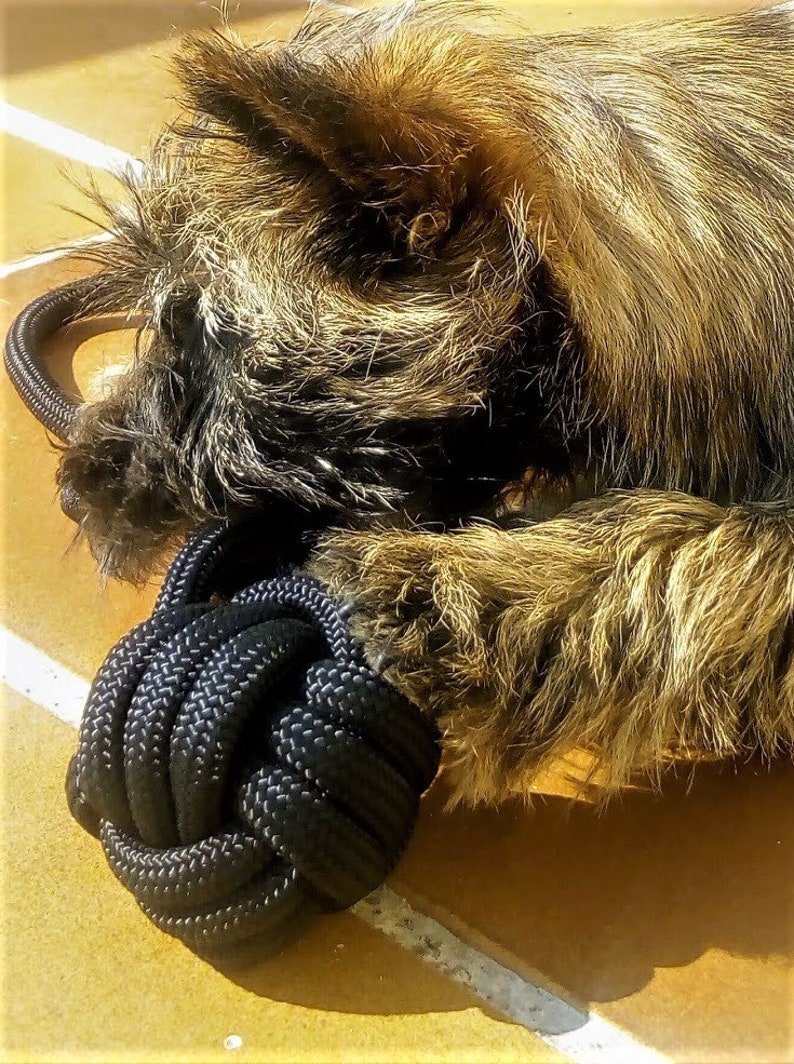 Spielzeug Hund Seil Kugel schwebend Leine von wouf Etsy