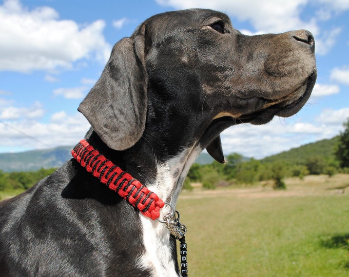 Red Zig Zag dog collar - width 2cm - Wouf leash