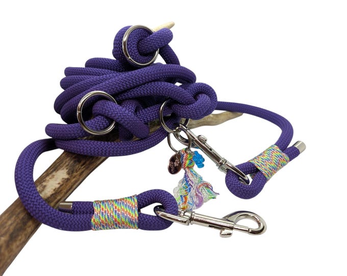 Woof Leash | 3-Point Leash Purple / Rainbow in 10mm Paracord