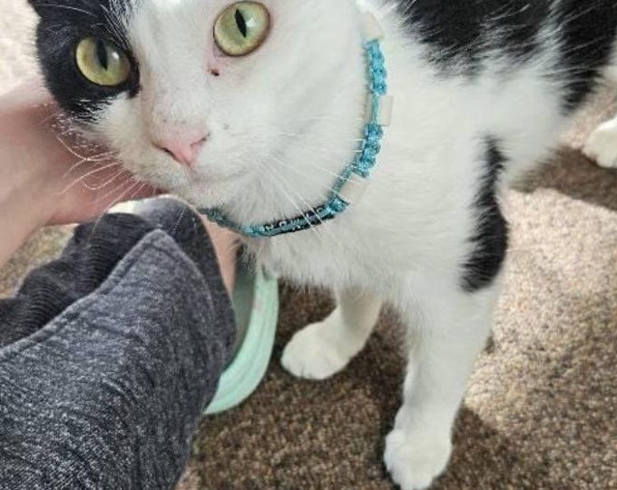 EM ceramic anti-tick collar for cats | | Laissedewouf Uni Collection