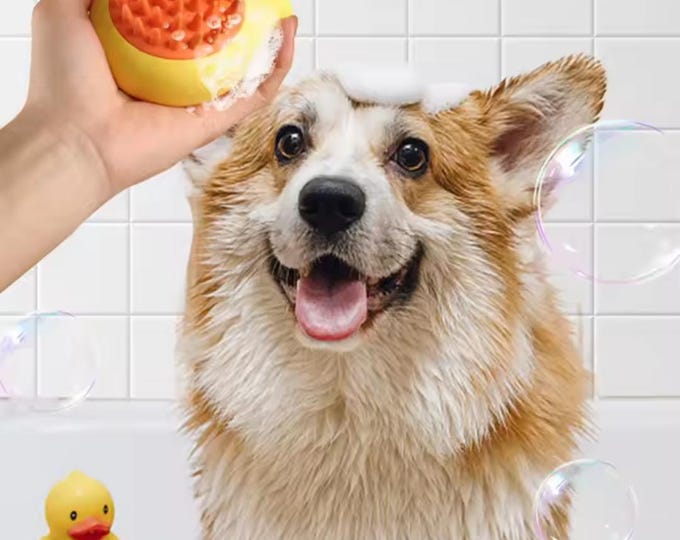 Brosse de bain moussante en silicone pour chien