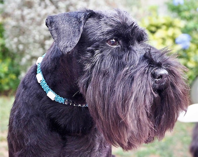 Personalized EM ceramic tick collar natural protection for dogs | Laissedewouf Diamond collection