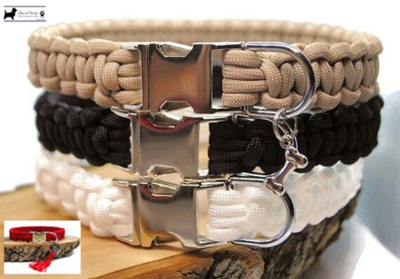 Collier Chien Uni - Largeur 2cm | Laisse de Wouf