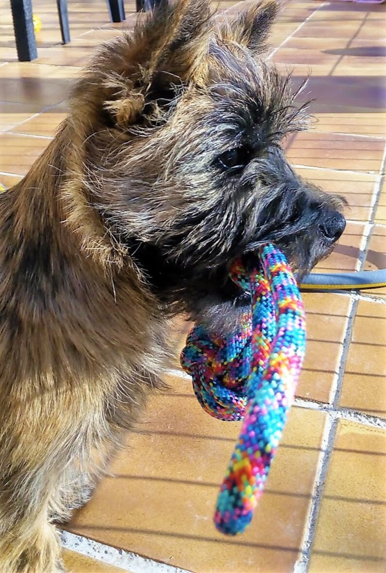 Spielzeug Hund Seil Kugel schwebend Leine von wouf Etsy