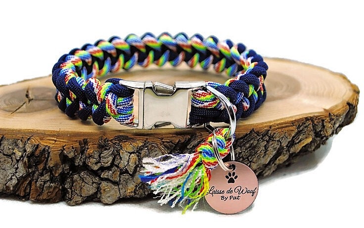 Collier Chien Shark Bleu Marine/Arc-En-Ciel - Largeur 2cm | Laisse de Wouf