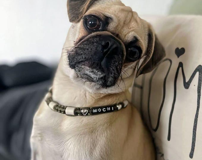 Adjustable anti-tick collar width 1cm in EM ceramic for natural protection for dogs | Laissedewouf
