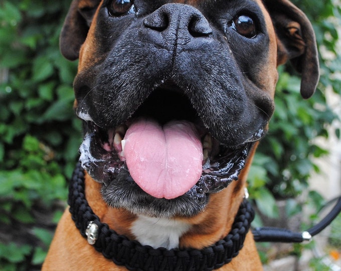 Black skull dog collar - width 3cm - Wouf leash
