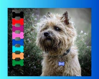 Dog ID tag | Laissedewouf