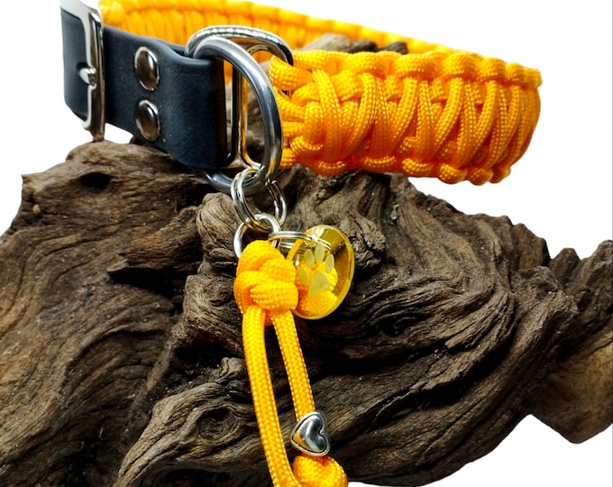 Dog collar | Plain collection - width 3cm | Woof leash