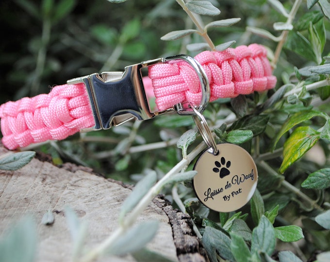 Plain pink or plain blue dog collar - width 2cm | Woof leash